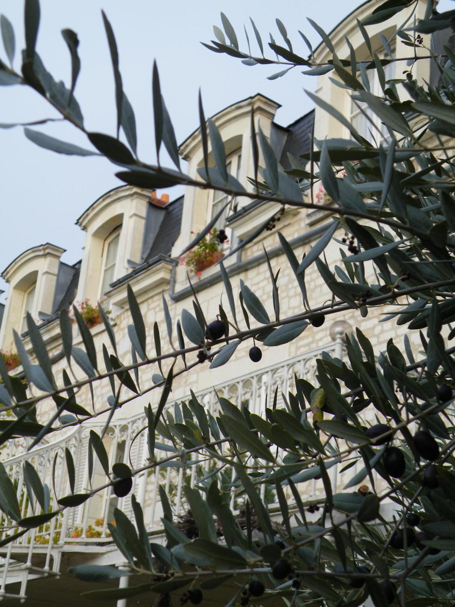 Hôtel Diderot Chinon Exterior foto